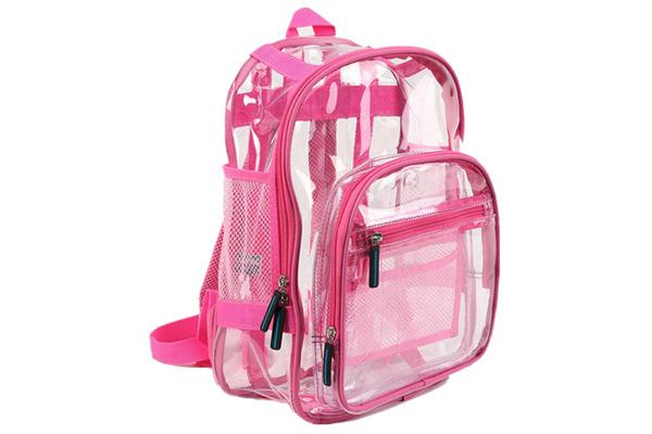 School Backpack 